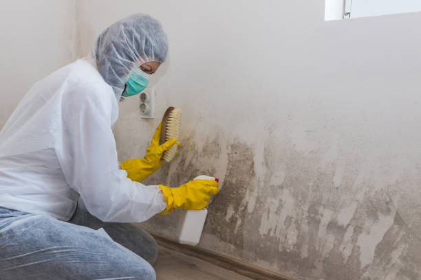 Best Residential Mold Remediation in Diablo Grande, CA