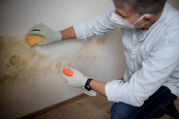 Best Post-Remediation Services in Diablo Grande, CA