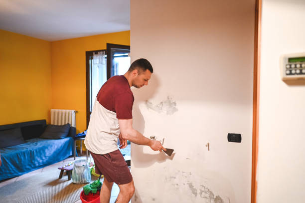 Best Emergency Mold Remediation in Diablo Grande, CA